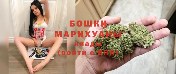 ECSTASY Пересвет