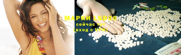 винт Алзамай