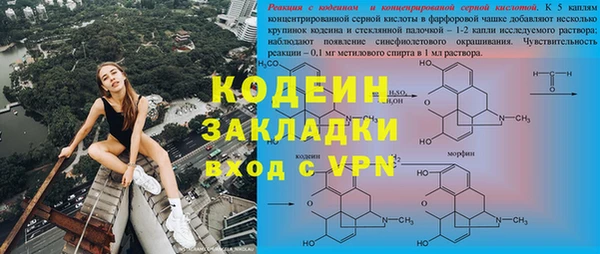 прущие грибы Переславль-Залесский