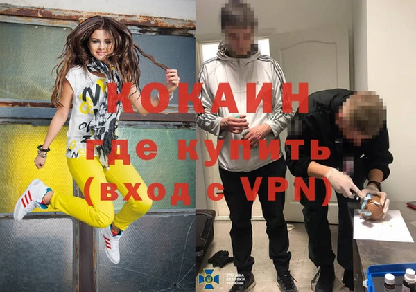 винт Алзамай