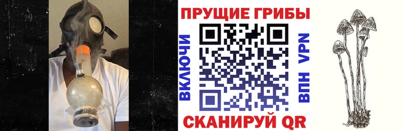 ОМГ ОМГ ТОР  купить   Куйбышев  Галлюциногенные грибы мухоморы 